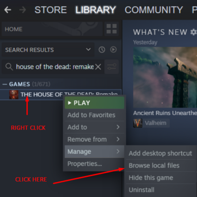 Hotd steam options.png